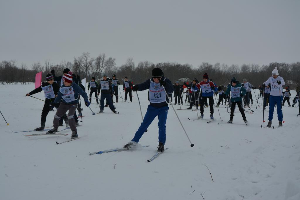 Лыжный кросс в Гусёк-Погореловке
